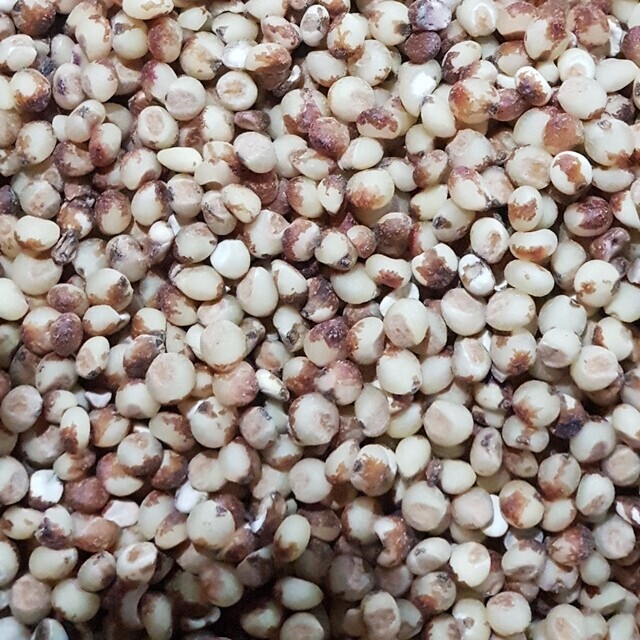 영월유팜,[영월유팜] 메수수 원물, 도정