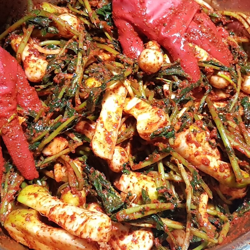 영월유팜,[영월유팜] 절임알타리 10kg