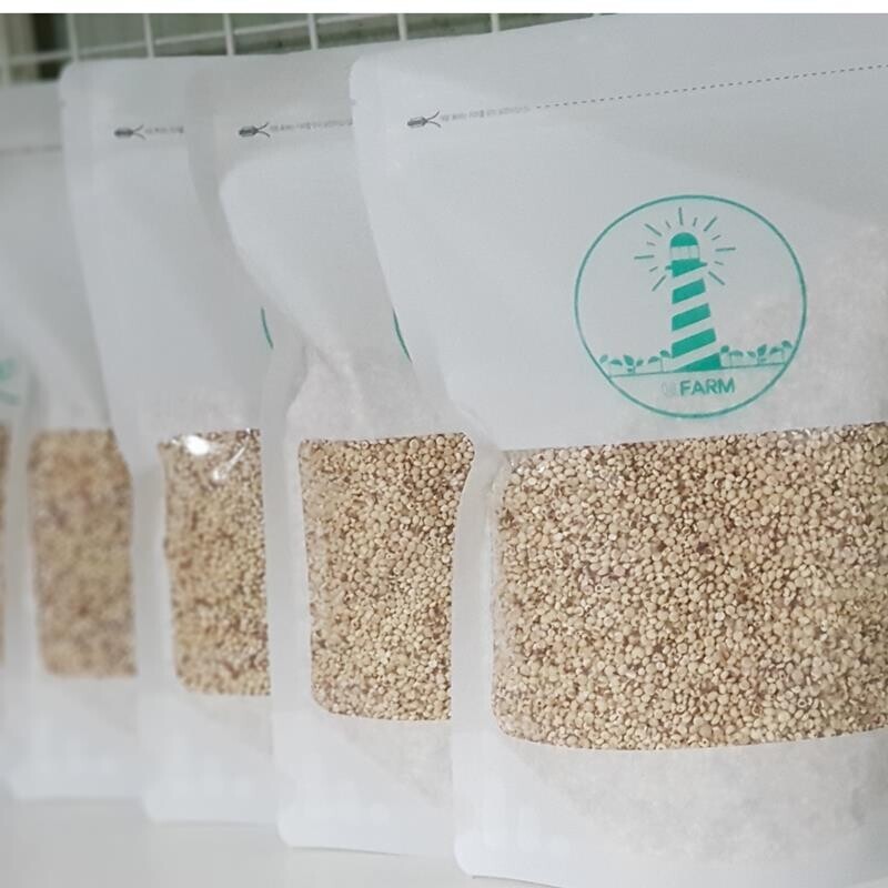 영월유팜,[영월유팜] 국산 찰수수쌀 1kg 잡곡 찰수수