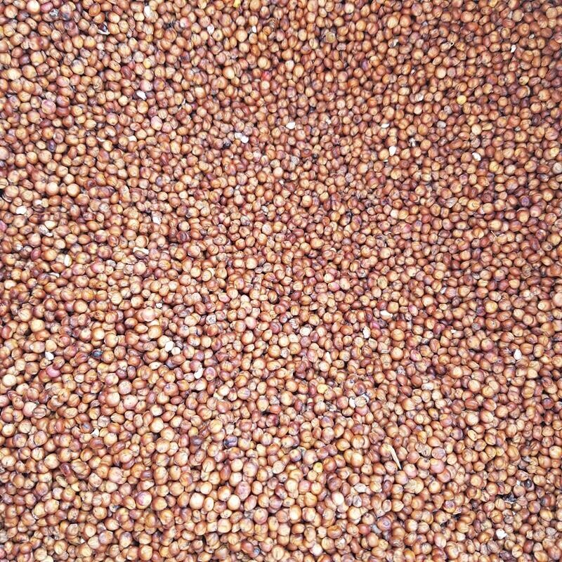 영월유팜,[영월유팜] 국산 찰수수쌀 1kg 잡곡 찰수수