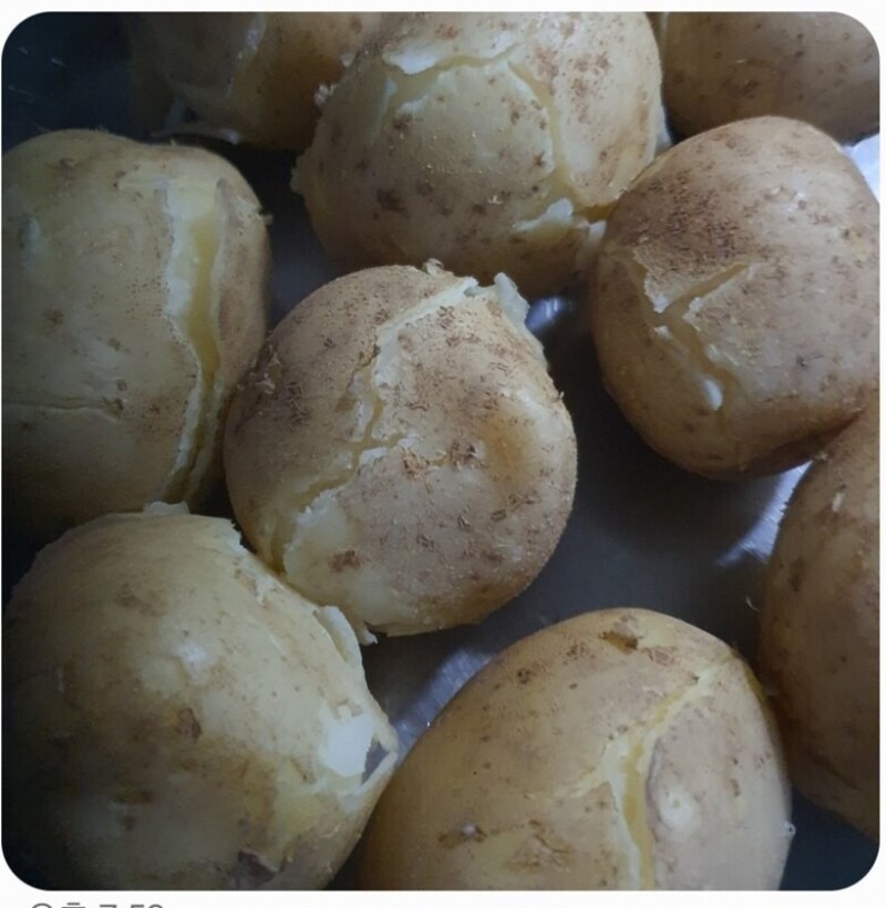 영월유팜,[예약] 반반패키지 찰옥수수 18개 감자 5kg