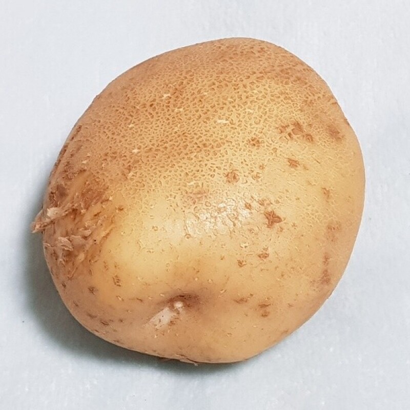 영월유팜,[못난이상품] 영월유팜 분감자 강원도감자 혼합 10kg