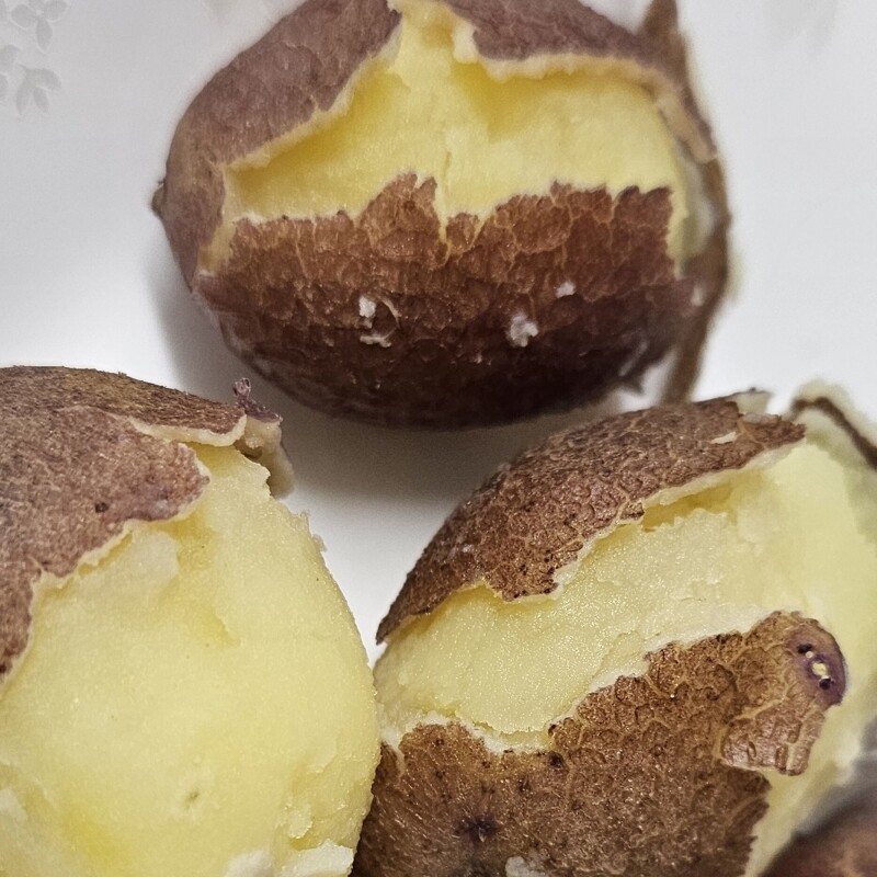 영월유팜,[위크세일] 2025년 강원도분감자 자황, 두백(크기품종 혼합) [영월유팜]